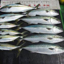 海宝丸 島根 釣果