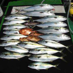 海宝丸　島根 釣果