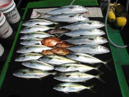 海宝丸　島根 釣果