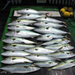 海宝丸 島根 釣果