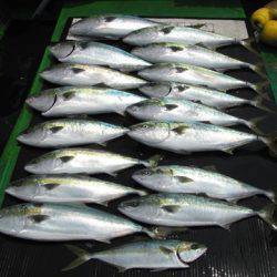 海宝丸 島根 釣果