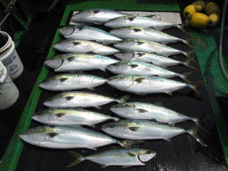 海宝丸　島根 釣果