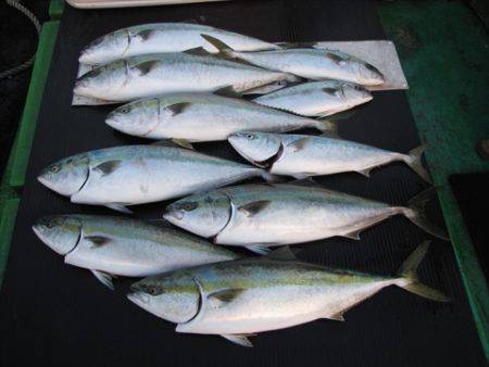 海宝丸　島根 釣果