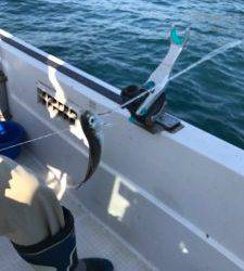 さぶろう丸 釣果