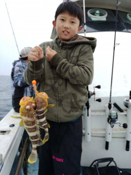 リトルワン 釣果