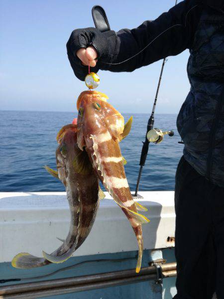 リトルワン 釣果