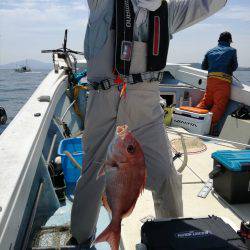 リトルワン 釣果