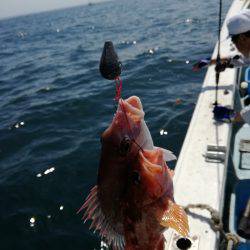 リトルワン 釣果