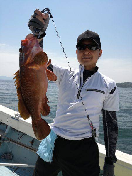 リトルワン 釣果