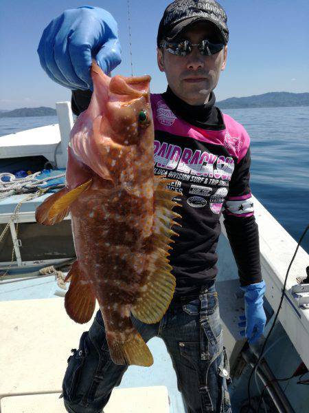 リトルワン 釣果