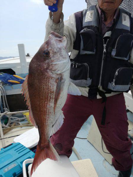 リトルワン 釣果