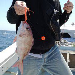 リトルワン 釣果