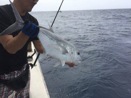 群星・むるぶし 釣果