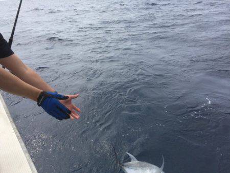 群星・むるぶし 釣果