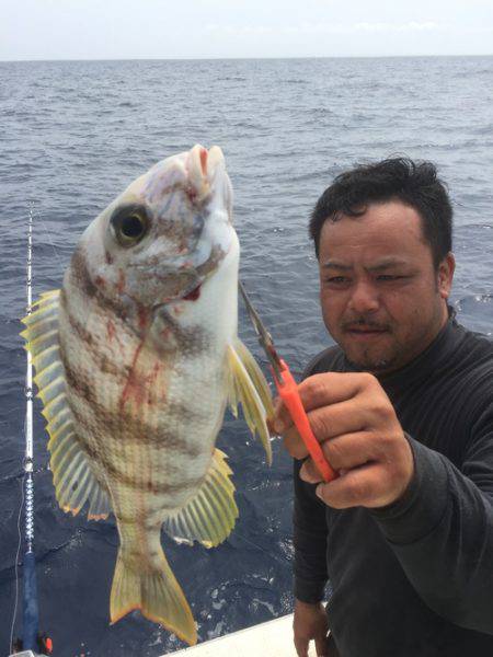 群星・むるぶし 釣果