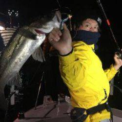 シーマジカル 釣果