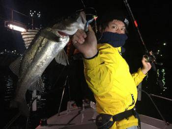 シーマジカル 釣果