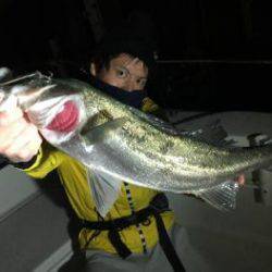 シーマジカル 釣果