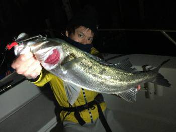 シーマジカル 釣果