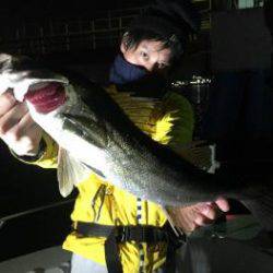 シーマジカル 釣果