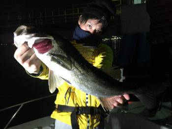 シーマジカル 釣果