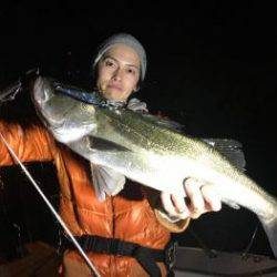 シーマジカル 釣果