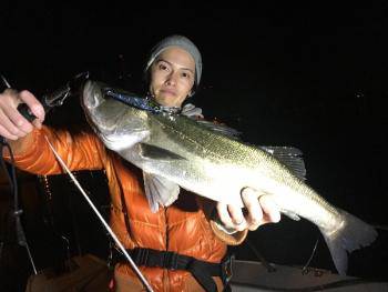 シーマジカル 釣果