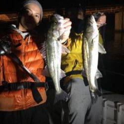 シーマジカル 釣果