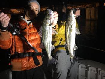 シーマジカル 釣果