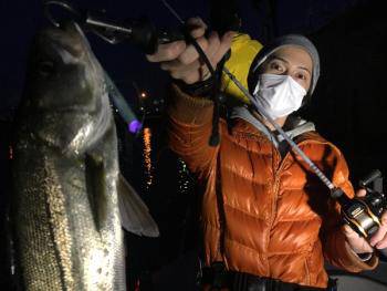 シーマジカル 釣果