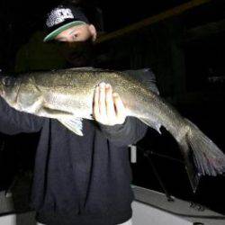 シーマジカル 釣果