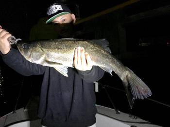 シーマジカル 釣果