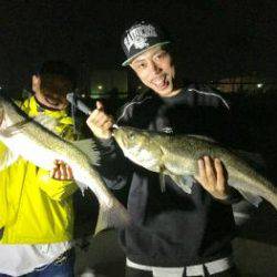 シーマジカル 釣果