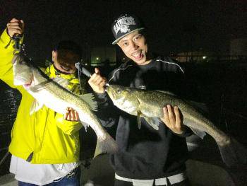 シーマジカル 釣果