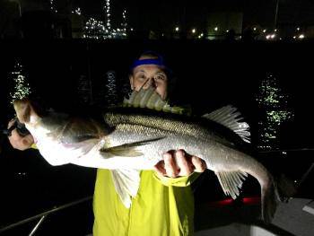 シーマジカル 釣果