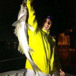 シーマジカル 釣果