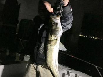 シーマジカル 釣果