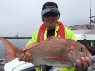 博栄丸 釣果