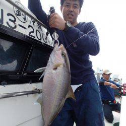 ゆりか 釣果