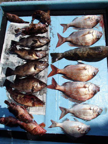 久六釣船 釣果