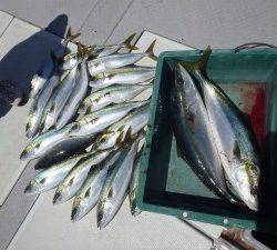 えすぽあ 釣果