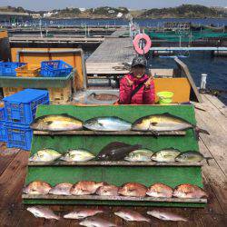 みうら海王 釣果