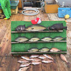 みうら海王 釣果