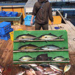 みうら海王 釣果