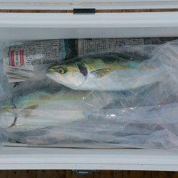 火遠理丸(ほおりまる) 釣果