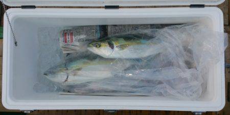 火遠理丸(ほおりまる) 釣果