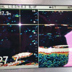 火遠理丸(ほおりまる) 釣果