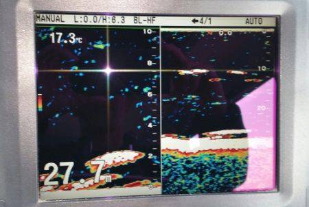 火遠理丸(ほおりまる) 釣果