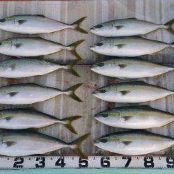 火遠理丸（ほおりまる） 釣果