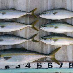 火遠理丸（ほおりまる） 釣果